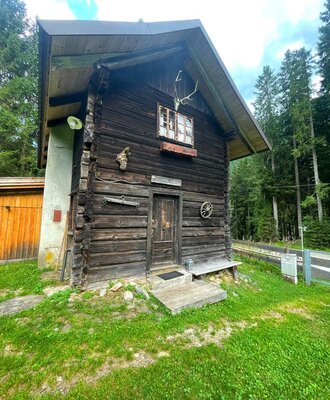 A rustic Alm featuring a traditional log facade, surrounded by a green lawn and dense forest.