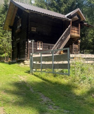 A rustic Alm made of dark timber, surrounded by a lush green meadow and peaceful mountain forest.