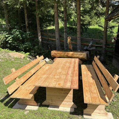 An inviting outdoor seating area at the Alm featuring a rustic wooden picnic table and benches next to a charming log fountain.