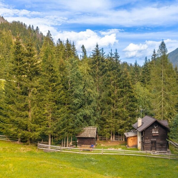 A rustic Alm nestled in a scenic clearing, surrounded by dense pine forests and gentle mountain slopes.