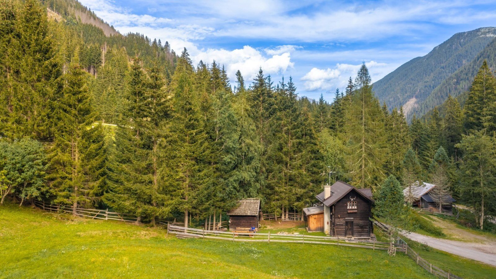 A rustic Alm nestled in a scenic clearing, surrounded by dense pine forests and gentle mountain slopes.