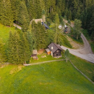 The idyllic Alm surrounded by lush green meadows and dense pine forests.