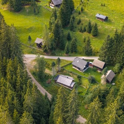 An aerial view of the idyllic Alm, nestled among dense pine forests and lush green meadows.