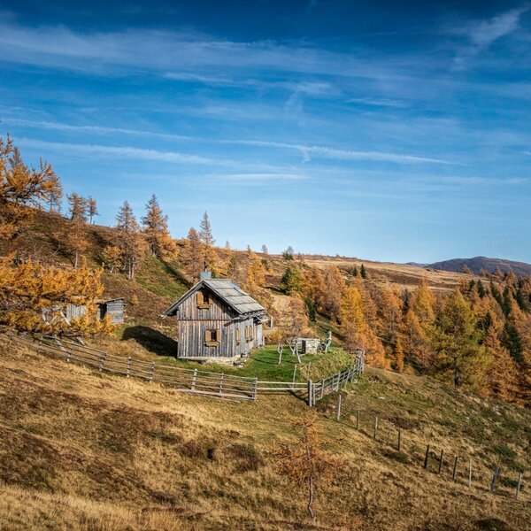 The Alpine Hut, a wooden structure situated on a grassy hillside amidst golden autumn larches, with distant mountains under a blue sky.