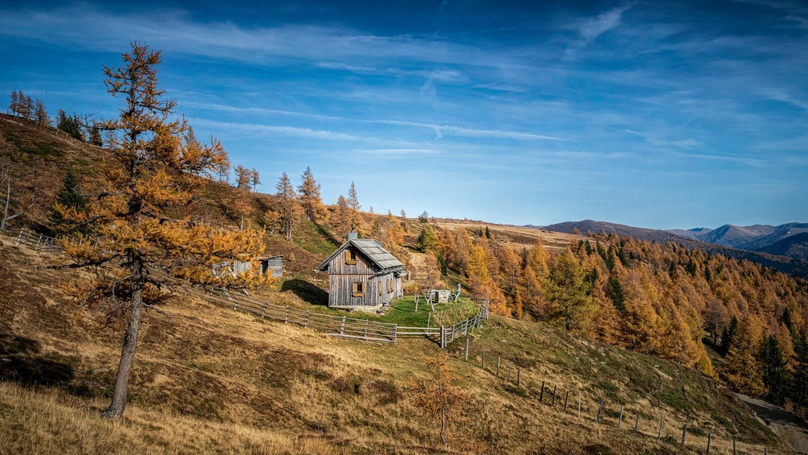The Alpine Hut, a wooden structure situated on a grassy hillside amidst golden autumn larches, with distant mountains under a blue sky.