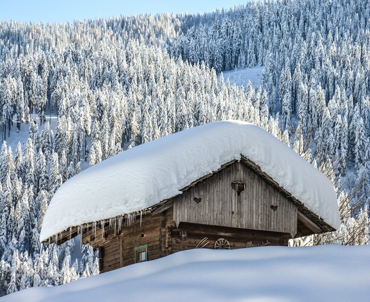 The wooden farmhouse, covered in snow with icicles, set against a backdrop of snow-laden pine trees.