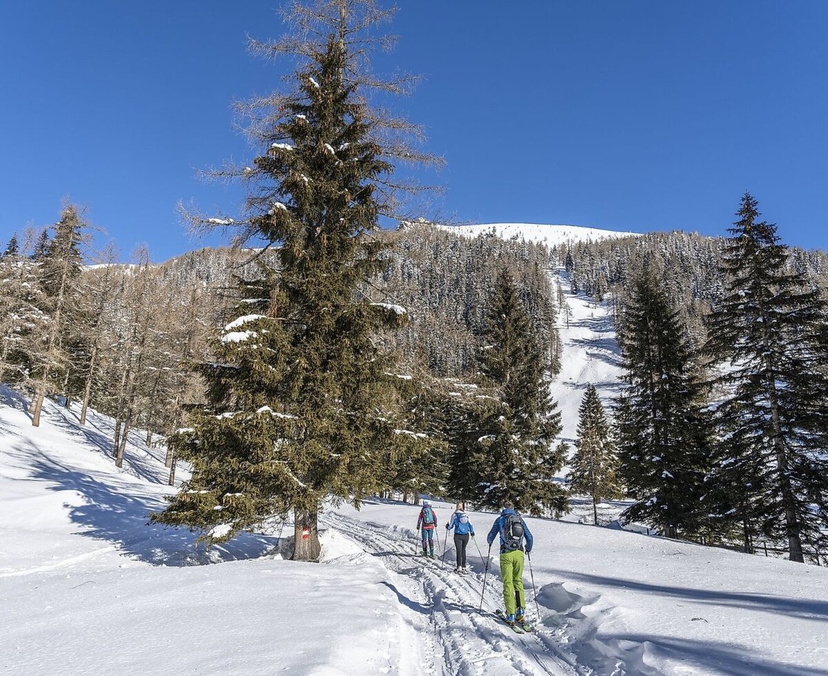 Ski tourers on a snowy path in a winter landscape with trees and a mountain in the background, a typical activity in the area around the farmhouse.