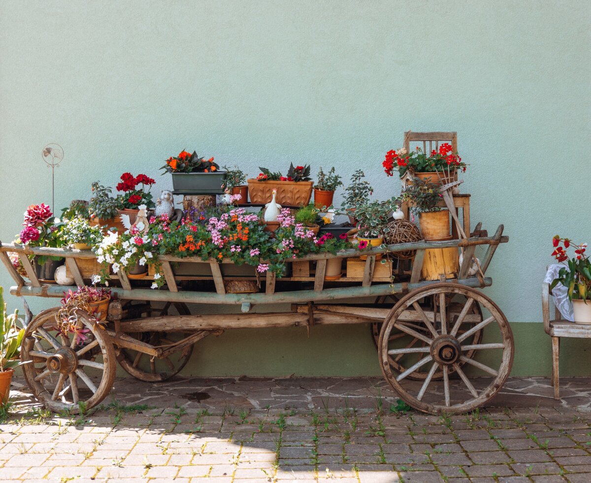 The Farm House entrance features a decorative wooden cart filled with a variety of potted flowers and plants.