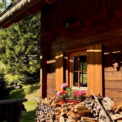 Exterior of the Alm with a wooden facade, window shutters, flower boxes, and a stack of firewood.