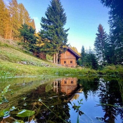 The Alm, surrounded by forest, is reflected in a small pond.