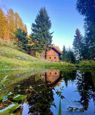 The Alm, surrounded by forest, is reflected in a small pond.