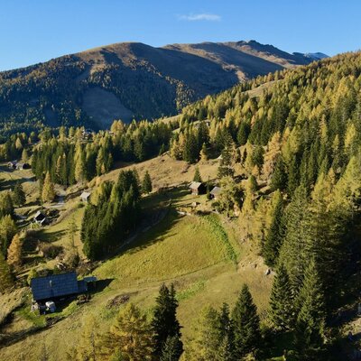 The Alm featuring several Alm huts in a forested mountain landscape.