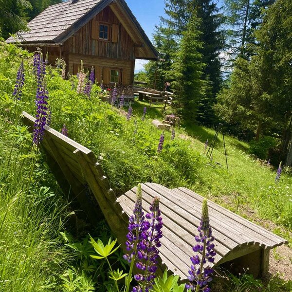 An inviting Alm nestled in a lush green meadow with a comfortable wooden lounger and blooming lupines.
