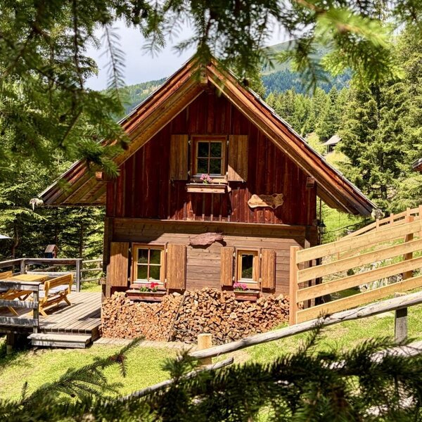 A rustic Alm featuring an inviting wooden terrace, stacked firewood, and lush forest surroundings.