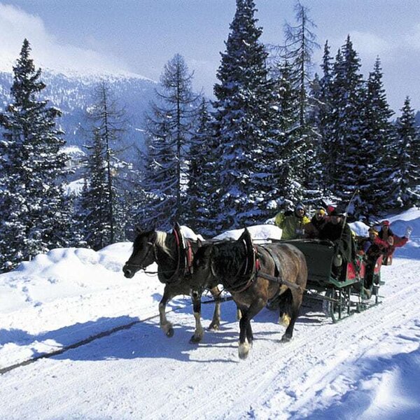 Horse drawn sleigh Horse drawn sleigh
