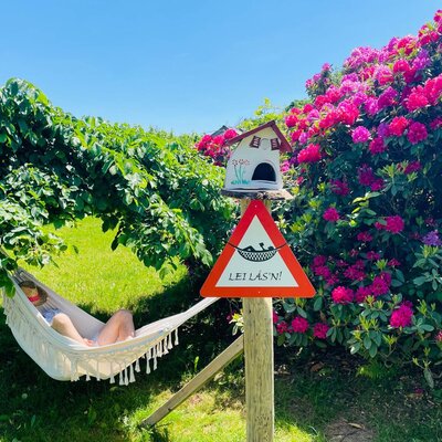 A guest relaxing in a hammock in the farmhouse garden, surrounded by green trees and blooming rhododendrons.