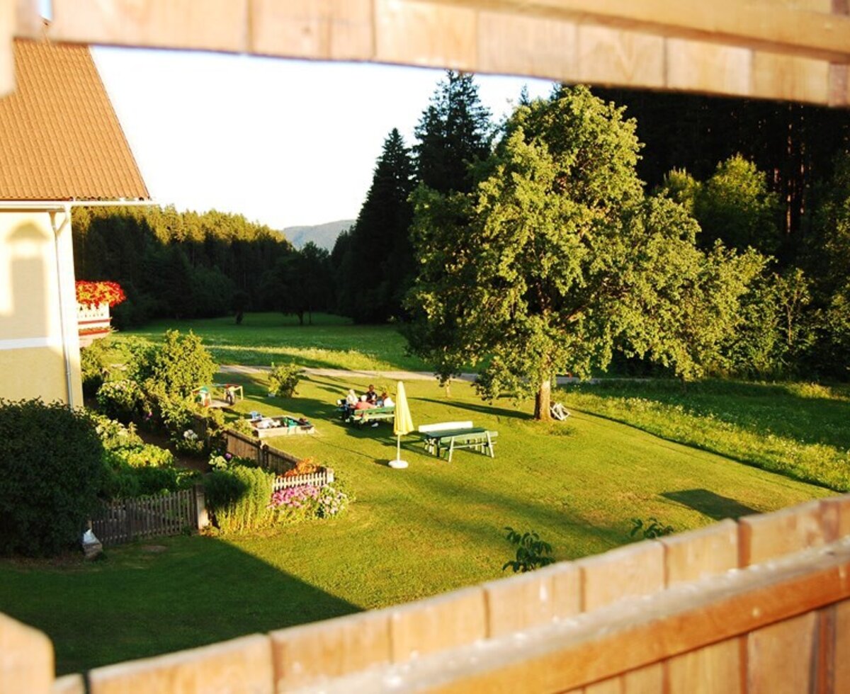 View of the garden