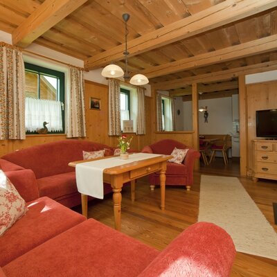 Living area in a farmhouse apartment, equipped with red sofas, a wooden coffee table, a television, and a wood-burning stove, with an adjacent dining area.