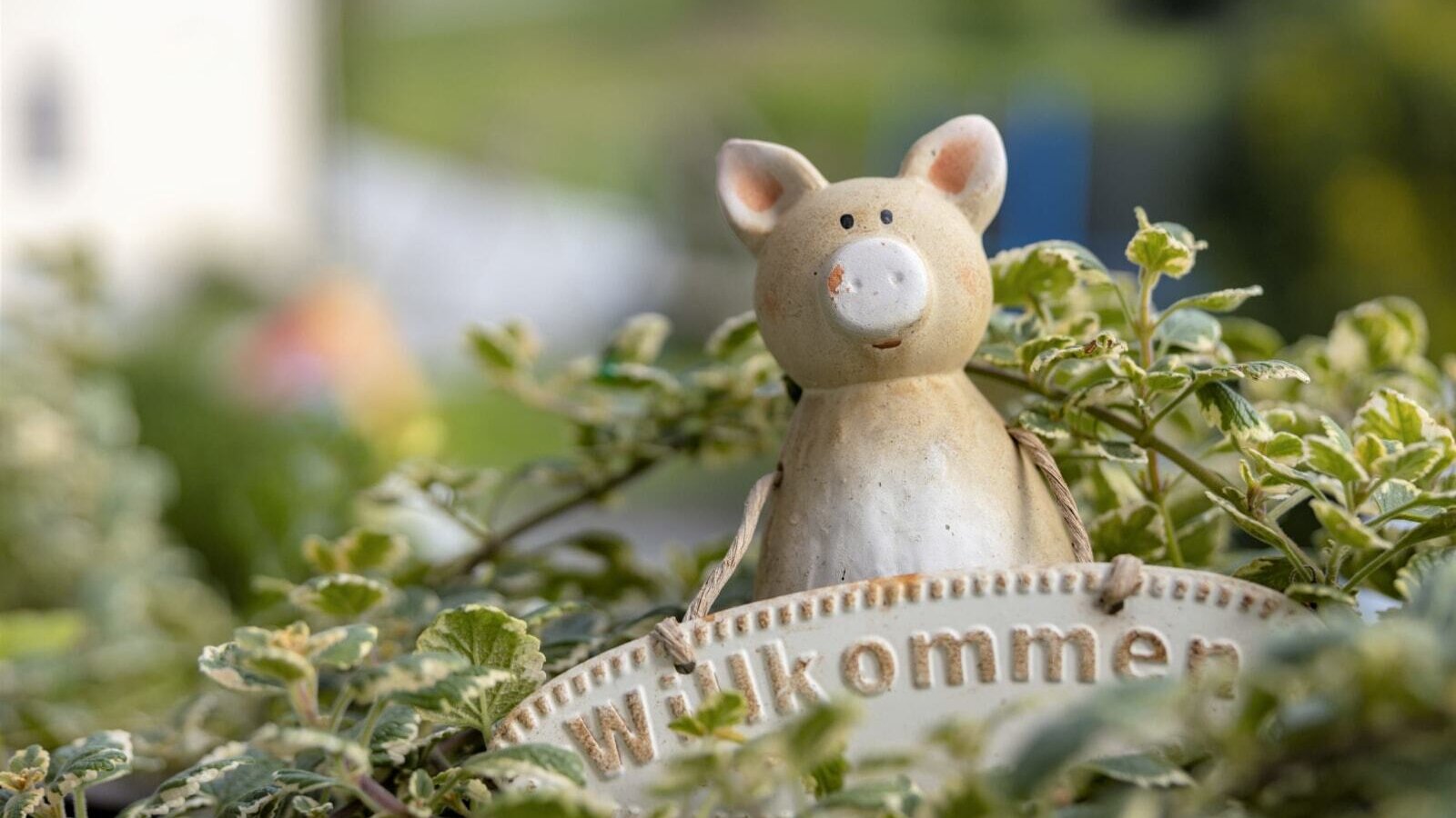 A pig figurine holding a 'Willkommen' (Welcome) sign among green foliage, a welcoming detail at the Farm House.
