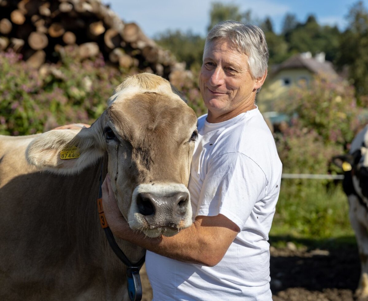 A man with a brown cow, part of the farm animals present at the farm house.