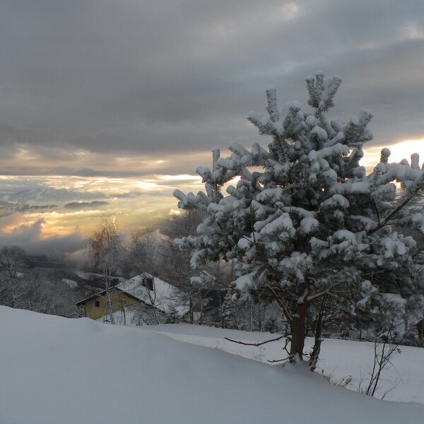 Snow-covered winter landscape at the Farm House, with pine trees and a valley view under a sky illuminated by breaking sunlight.