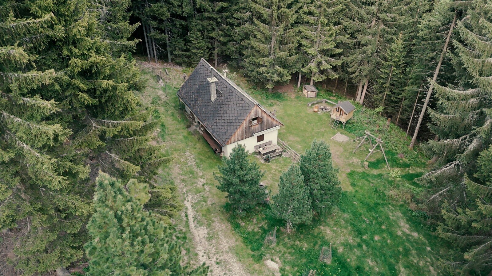 The Alpine Hut, surrounded by dense evergreen forest, features outdoor seating and a children's play area with a swingset and playhouse.