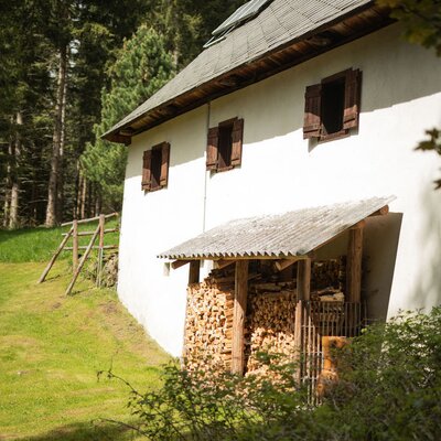 The Alm with a white facade, wooden shutters, and a covered woodpile, surrounded by a forest and grassy slope.