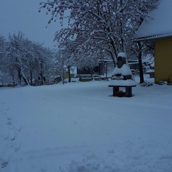The snow-covered exterior of the Farm House, featuring trees, an outdoor grill, and a bench.