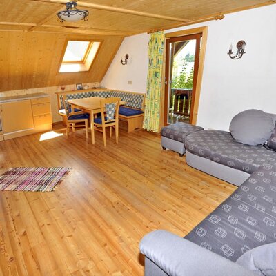Living room/bedroom apartment 2
