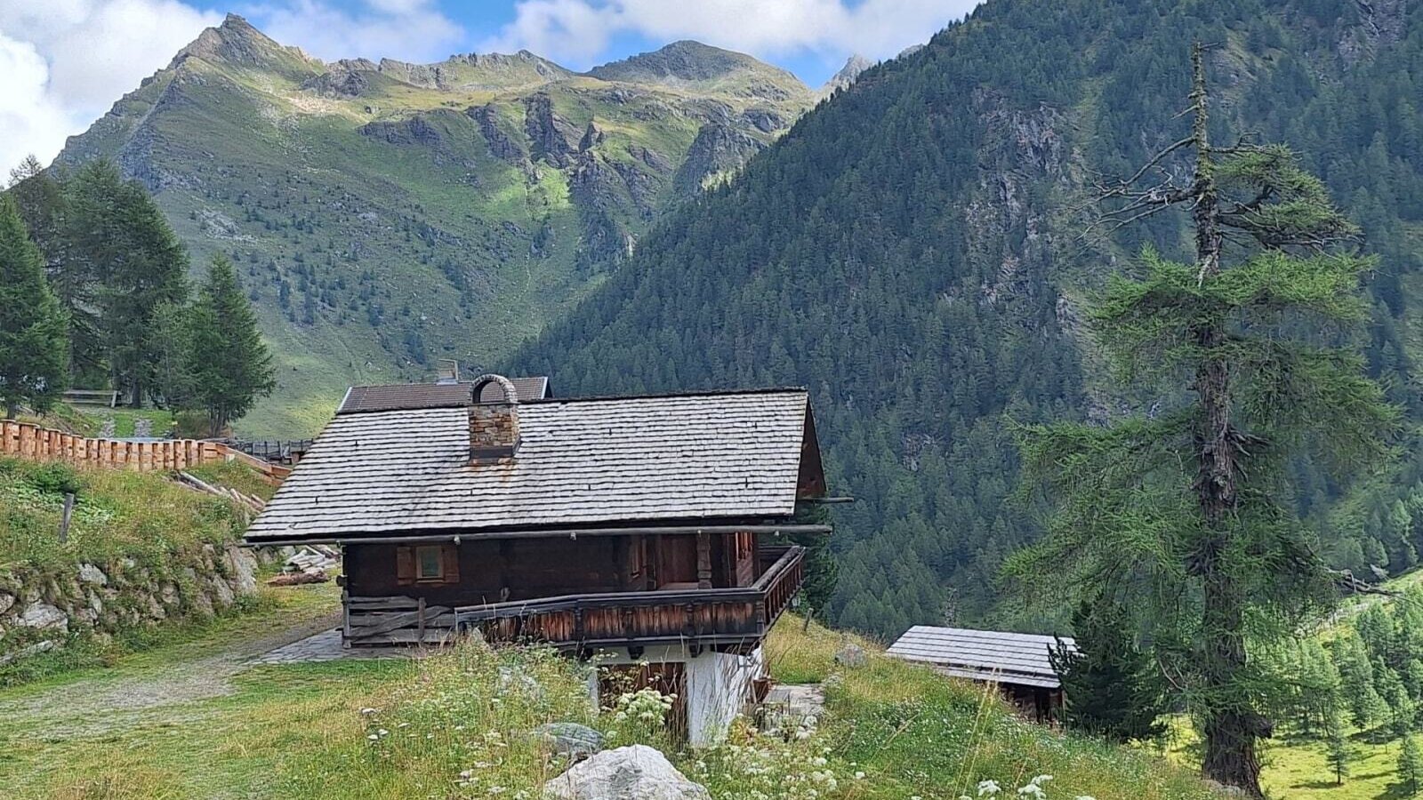 A rustic wooden Alm, idyllically situated amidst a scenic mountain landscape with lush green slopes.