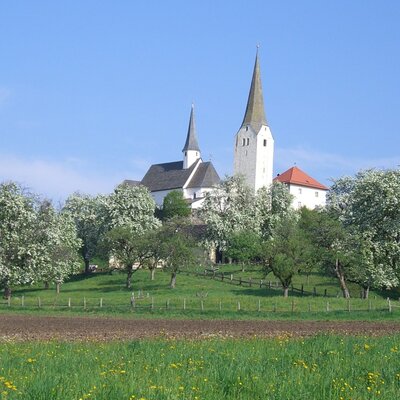 Our orchard in full bloom