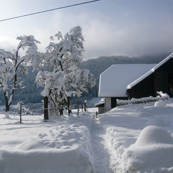 The Farm House in winter, with a snow-covered building and a cleared path leading through the snow.