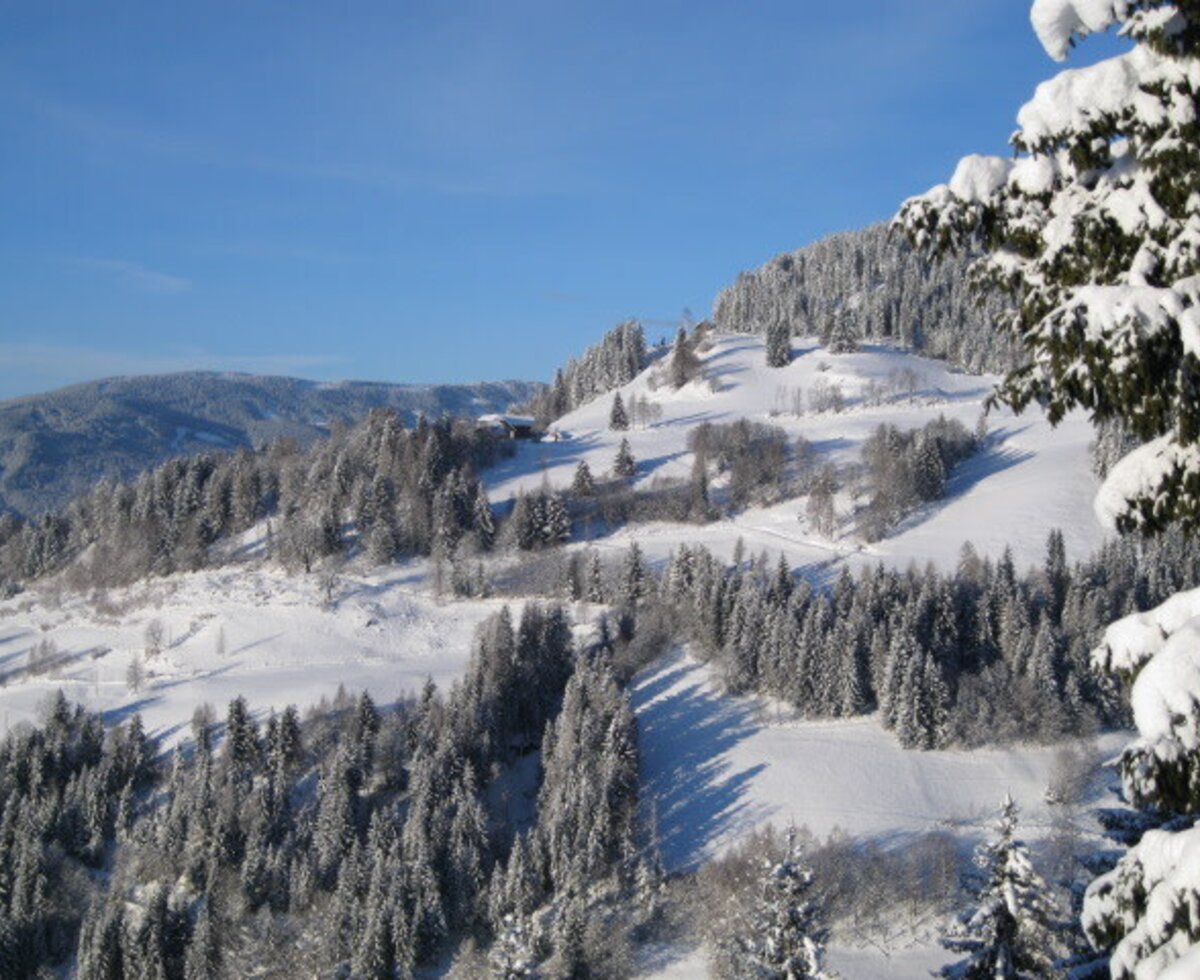 A winter landscape of snow-covered hills and forests surrounding the Farm House, under a clear blue sky.