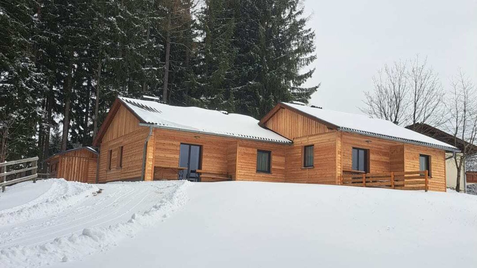 The Alm building with a wooden facade in a snowy landscape, surrounded by pine trees.