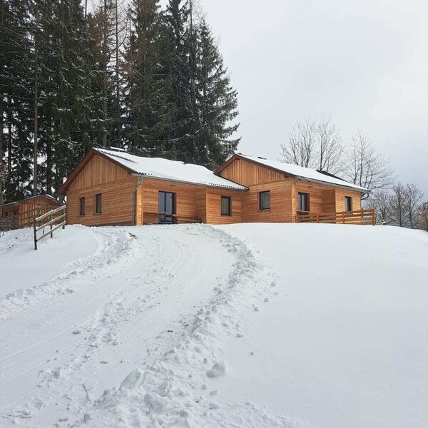 The Alm with its wooden buildings, set in a snowy winter landscape with trees.