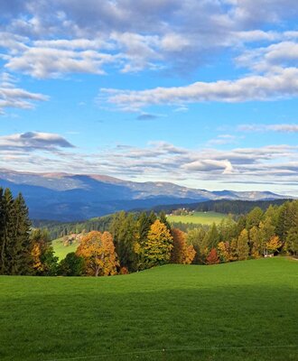 View from the Alm of the green meadow, autumn trees, and surrounding mountains.