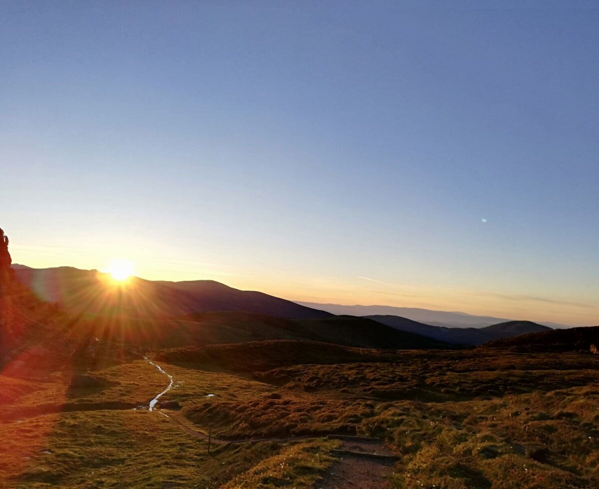 Alpine landscape of the Alm at sunrise, featuring a stream and hiking paths.