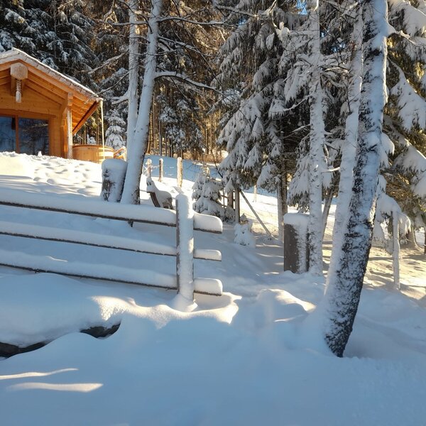 The Alpine Hut in a winter setting, surrounded by snow-covered trees, with an outdoor hot tub beside the building and a wooden fence in the foreground.