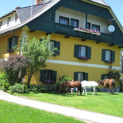 The exterior of the yellow farmhouse with green shutters and balconies, featuring horses grazing on the lawn and a pool.