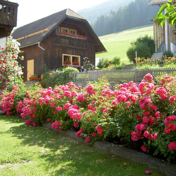 The farmhouse garden features a lush lawn and vibrant pink rose bushes in front of the traditional wooden building.
