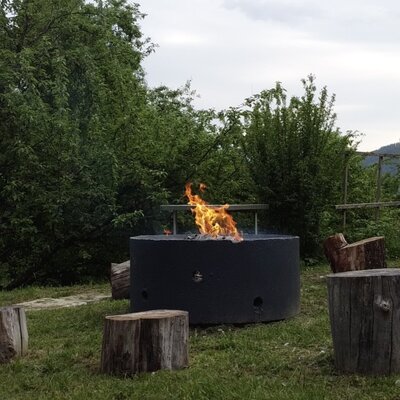The outdoor fire pit at the farmhouse, featuring flames and tree stump seating.