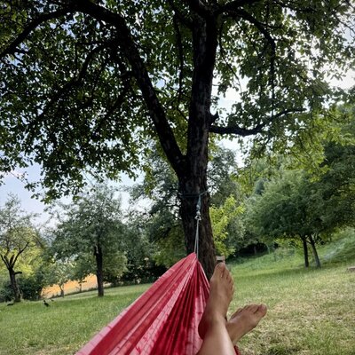 Red hammock in the farmhouse garden, for relaxing under the trees.
