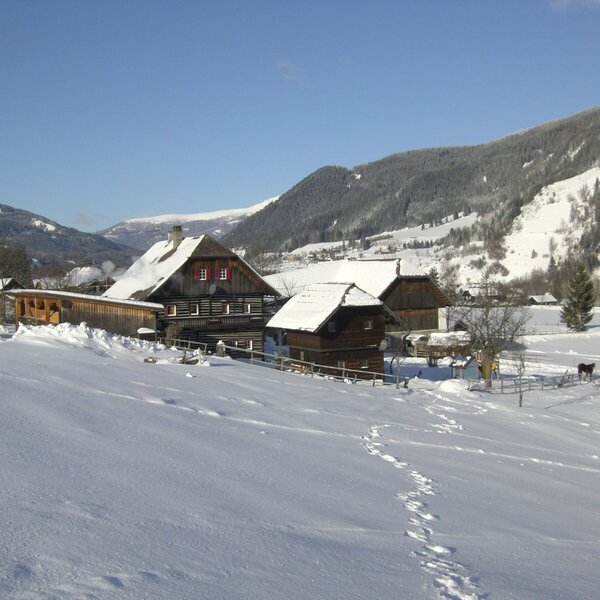 The Farm House and its traditional wooden buildings stand covered in snow, with horses in a fenced area and snow-covered mountains in the background.