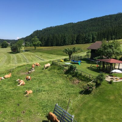 The Farm House grounds feature fields with grazing cows and a children's play area with a trampoline, swings, and a sandbox.