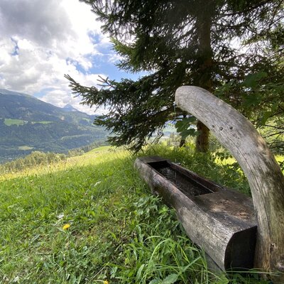 A wooden water fountain with a trough in the grassy surroundings of the Alpine Hut, overlooking mountain peaks.