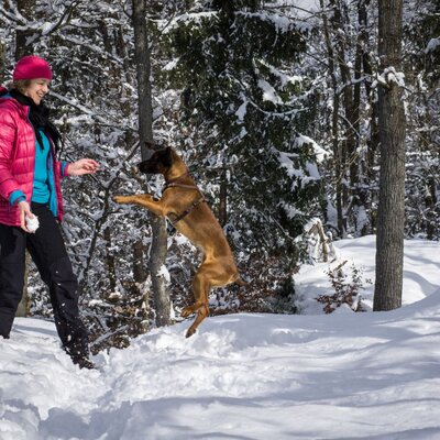 Winter walk with our female dog Caro