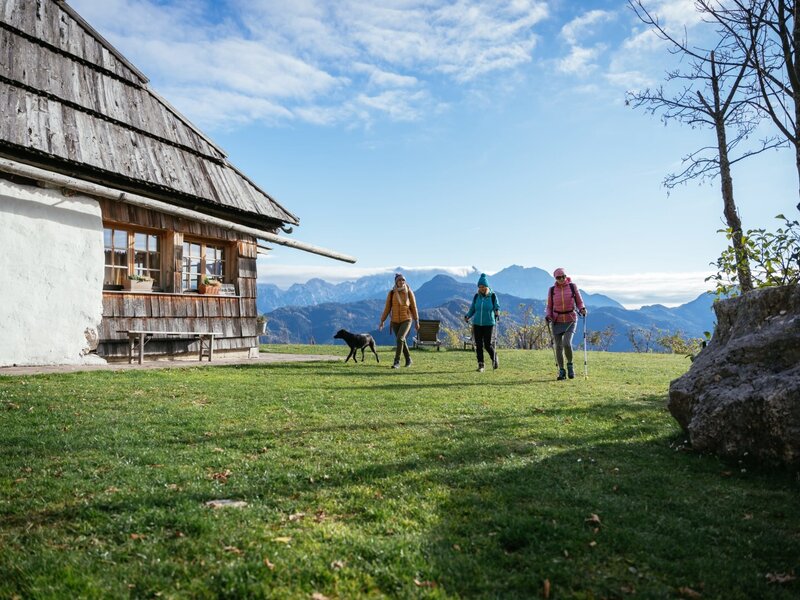 The farmhouse is set on a grassy lawn with mountain views, suitable for hiking and pet-friendly stays.
