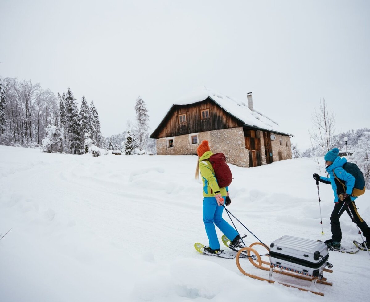 The Alpine Hut, with its stone and wood exterior and snow-covered roof, is nestled in a snowy forest landscape.