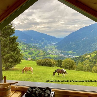 Panorama Sauna@Panorama Almhütte Nockberge & Chalet Almhaus Strobl