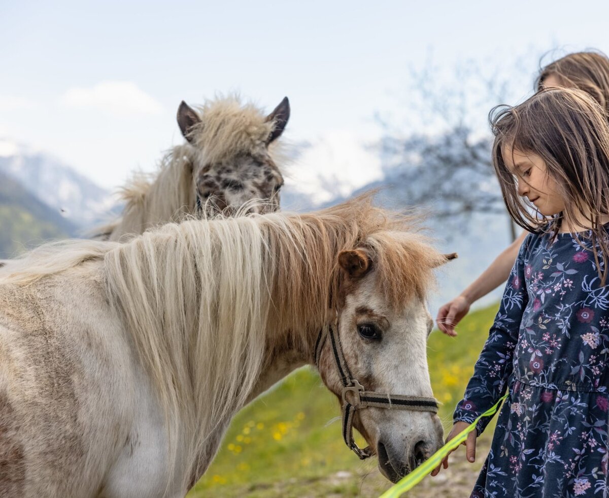 Children interacting with ponies at the Farm House.